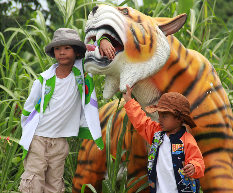 haciendas de naga tiger